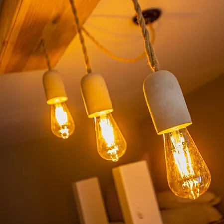 Flor De Iris Sierra Nevada