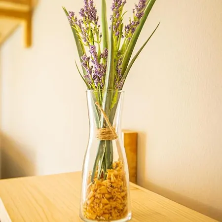 Flor De Iris